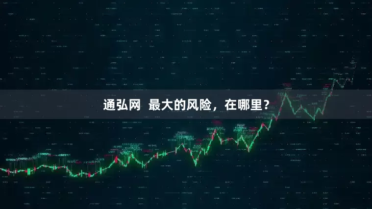 通弘网  最大的风险，在哪里？